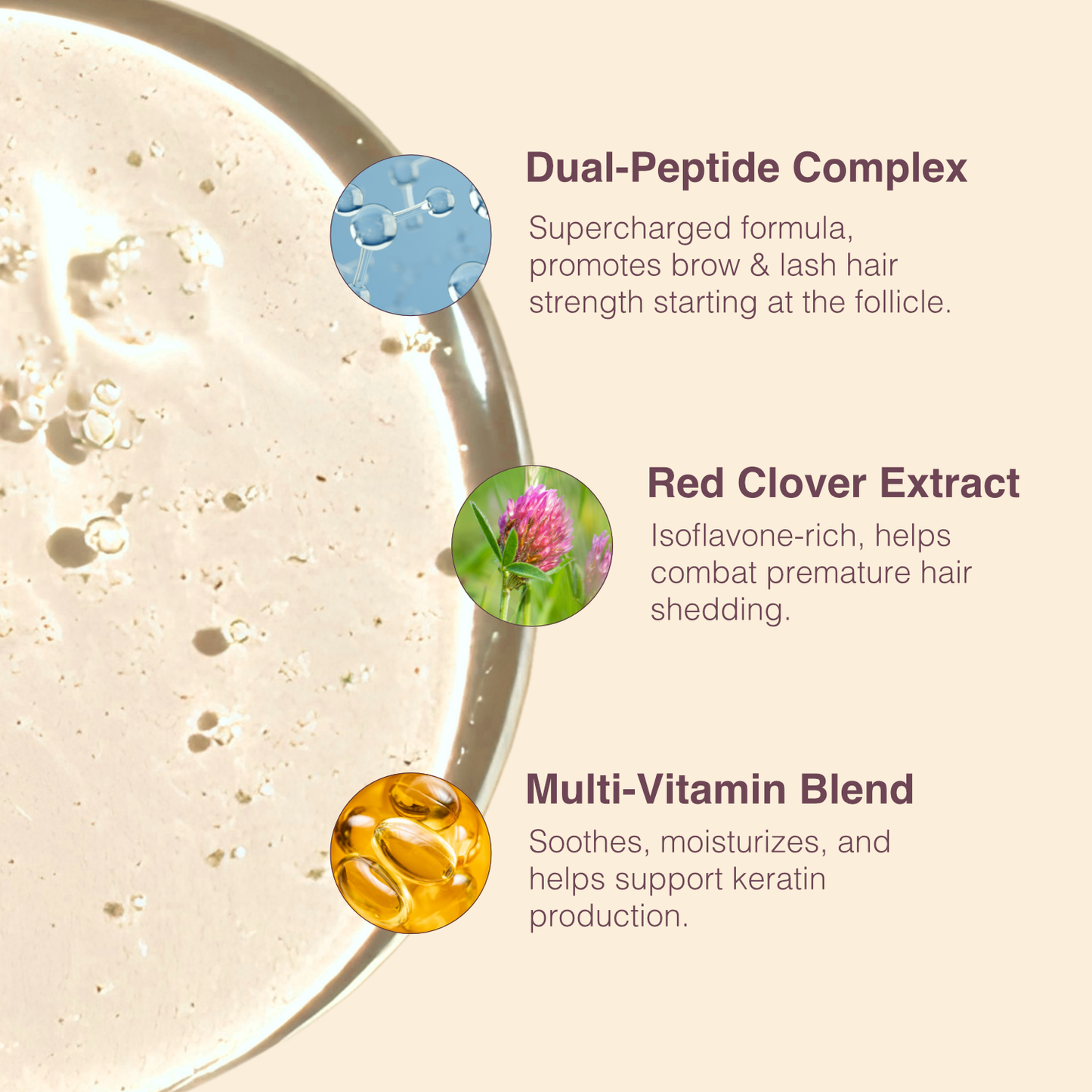 The Lash & Brow Ritual