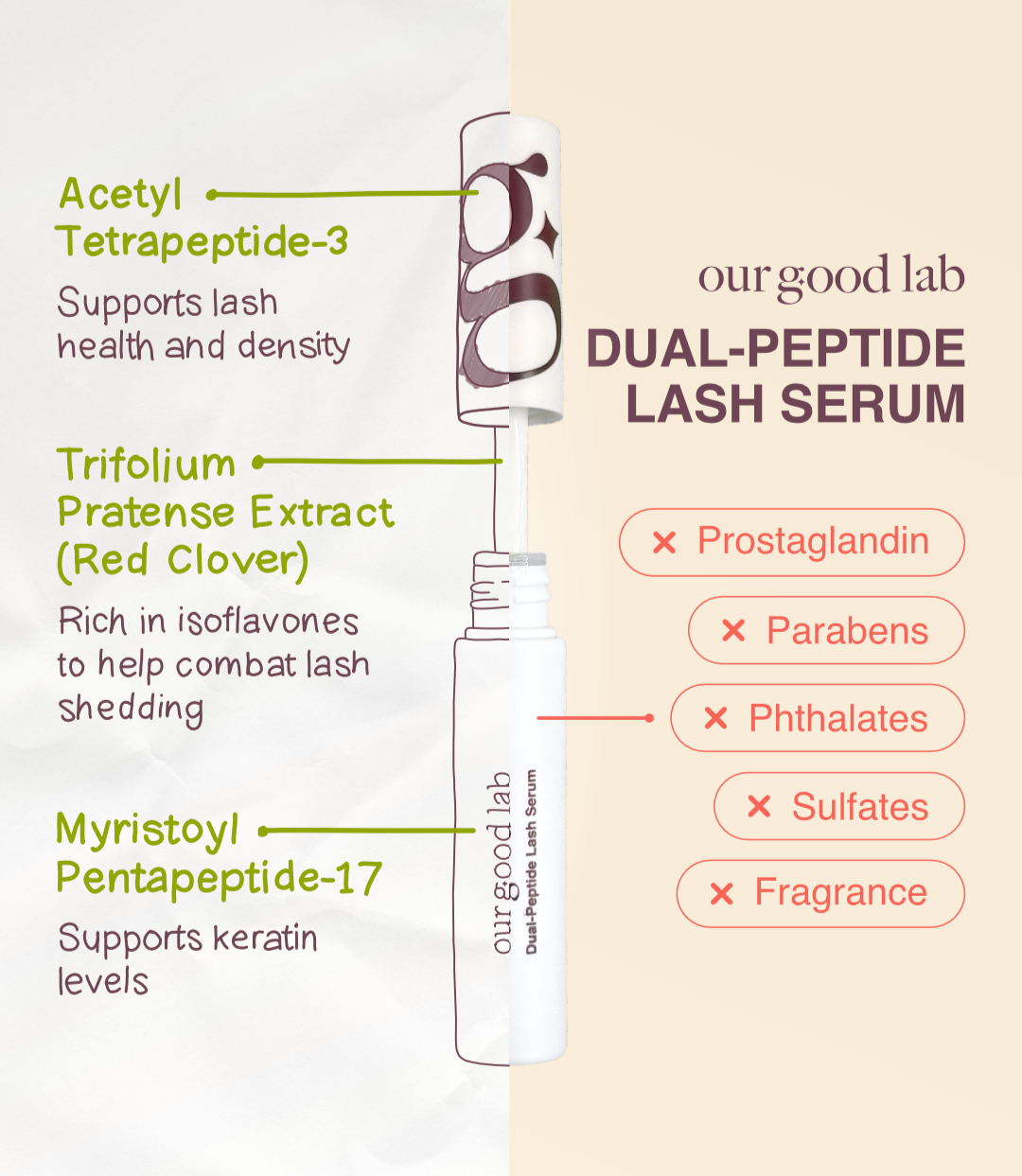 Dual-Peptide Lash Serum