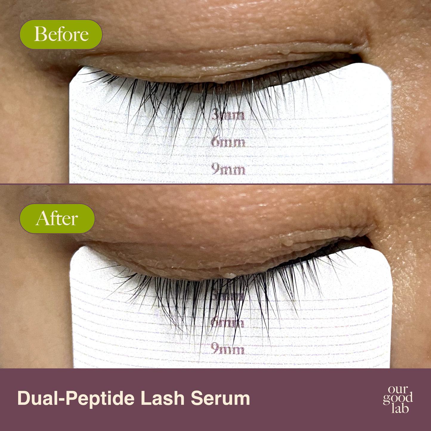 Dual-Peptide Lash Serum