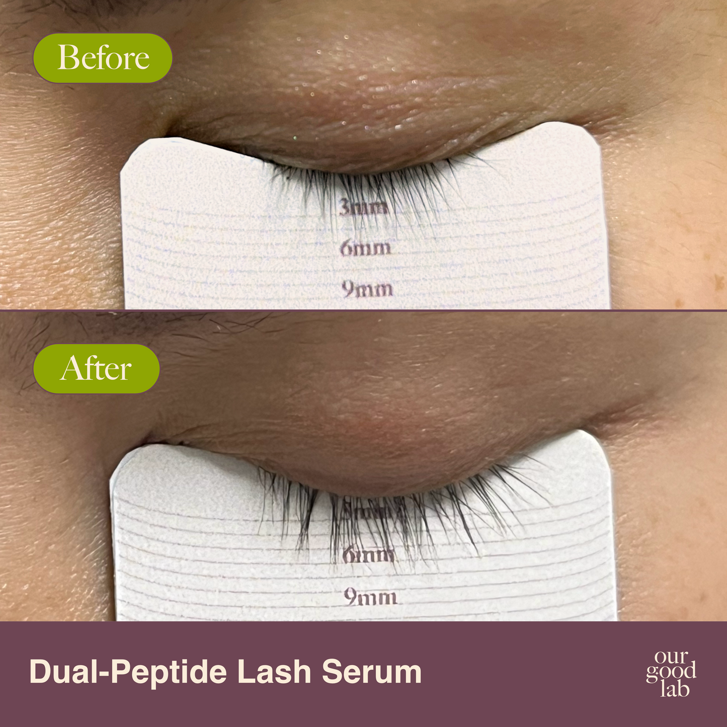 Dual-Peptide Lash Serum